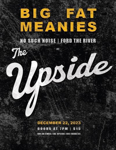 The Upside Flyer